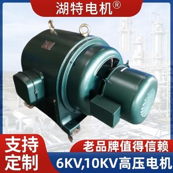 高壓電機(jī)JR、YR、YRKK電動機(jī)