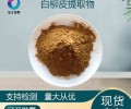 水杨甙98%白柳皮提取物10:1水溶性浸膏粉