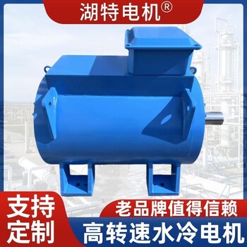 高轉(zhuǎn)速電機(jī)生產(chǎn)廠家