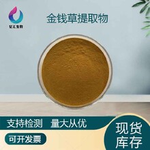 过路黄粉水溶性浸膏粉连钱草提取物10:1图片