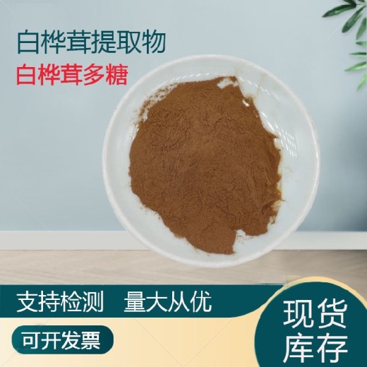 白桦茸提取物10:1桦褐孔菌粉水溶性浓缩粉