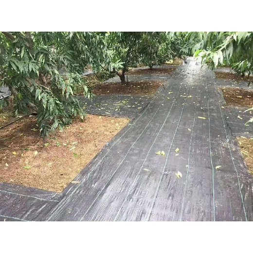 藥材除草用生態(tài)防草布廠家,防草布廠家