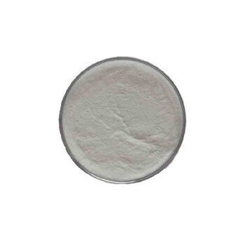 動(dòng)物軟骨粉營(yíng)養強化劑鯊魚(yú)軟骨粉99%