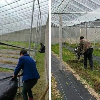 营口园艺地布果园铺盖保湿防草,防草布价格