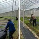 通州園藝地布果園鋪蓋保濕防草,防草布廠家原理圖