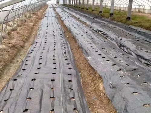 安阳好质量防草布,可降解防草布生产厂家,山东防草布厂家