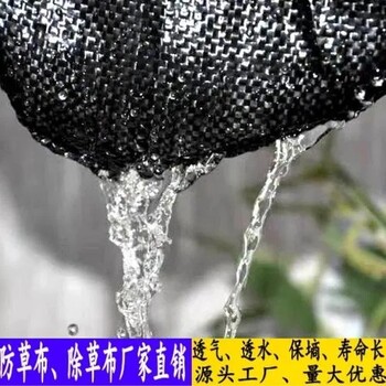 重慶全新料除草布一平方多少錢,除草布怎么挑選質量