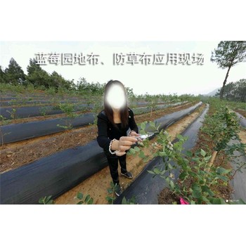遂寧加厚防草布廠家,可降解防草布生產(chǎn)廠家,山東防草布廠家