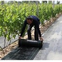 長春除草效果好園藝地布,果園專用防草布價格