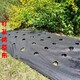 山東防草布廠家圖