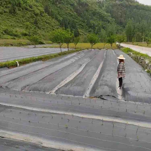 乌兰察布除草效果好园艺地布,出口除草布厂家