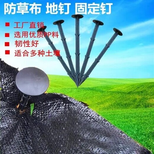 除草地布-防草布價格-哈爾濱批發(fā)防草布