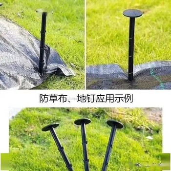 生態(tài)防草布廠家,柑橘園防草布