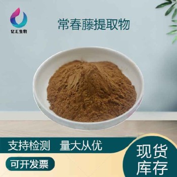 土鼓藤粉保健品原料常春藤皂甙10%