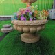 芝麻白歐式石雕花缽價(jià)格產(chǎn)品圖