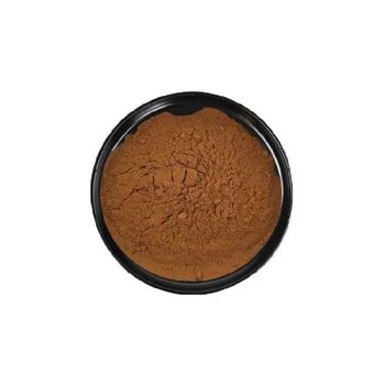 菌菇粉牛肝菌提取物10:1現(xiàn)貨供應(yīng)