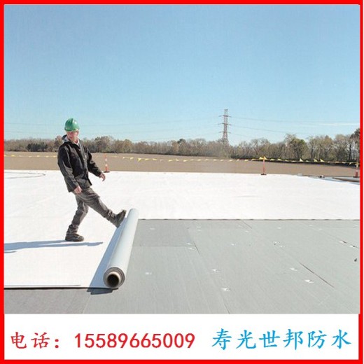 阜阳PVC防水材料PVC防水卷材