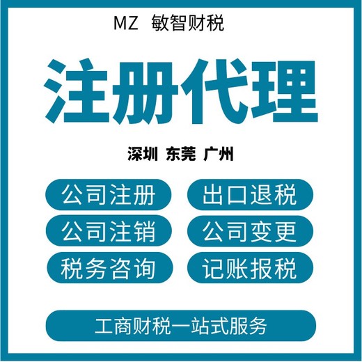 广州越秀税务年报代理企业服务,会计代理服务