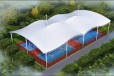 台湾PVDF球场风雨棚加工膜结构