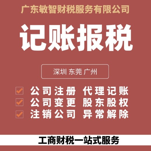 广州南沙做账报税代理企业服务,会计代理服务