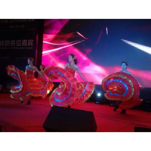 西藏电光舞蹈演出舞蹈团演出