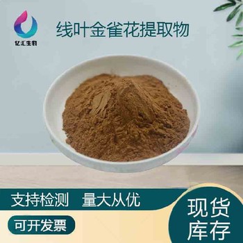 南非茶萃取粉线叶金雀花提取物10:1食品原料