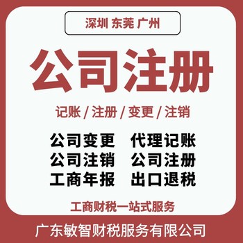 广州南沙营业执照代办企业服务,会计纳税申报