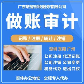 深圳龍華記賬報稅代理企業(yè)服務(wù),會計代理服務(wù)