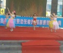 滨海新区舞蹈团演出联系电话,芭蕾舞演出团联系电话图片