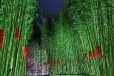 新疆光彩亮化-建筑物亮化照明