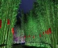 自贡公园亮化设计-城市夜景亮化实施