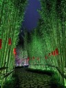內(nèi)江商業(yè)體亮化-小區(qū)公園亮化照明