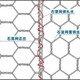 石笼网价格图