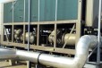 揭阳啤酒厂设施回收/揭阳牛奶厂设备回收