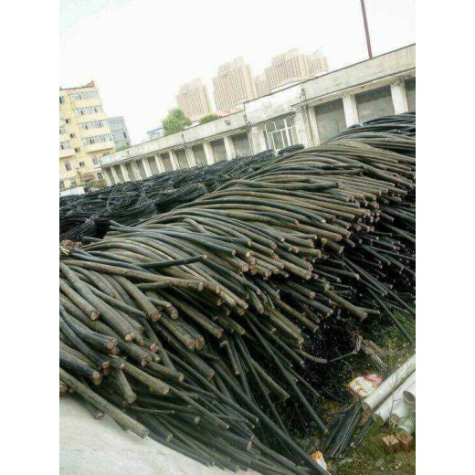 广州工厂电缆回收机构24小时在线