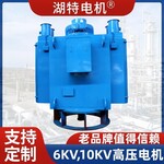 YL，TL，TKSL立式同步電動機高壓電機廠家