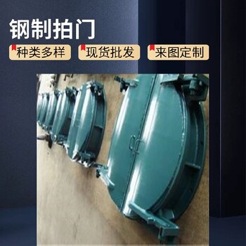 山東濱州博興縣拍門