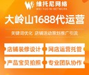 揭阳揭西县维托尼网络公司盐城1688代运营图片