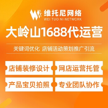 广州黄埔维托尼网络公司代运营1688价格