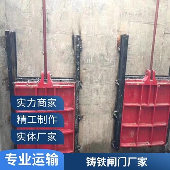 鑄鐵鑲銅閘門安裝