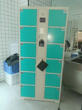 臨滄人臉識別電子存包柜各種系統