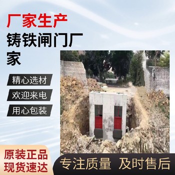 河北秦皇岛大型供水排水铸铁闸门