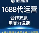 惠州惠东县成熟的1688代运营团队图片