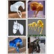 上海玻璃钢马雕塑图