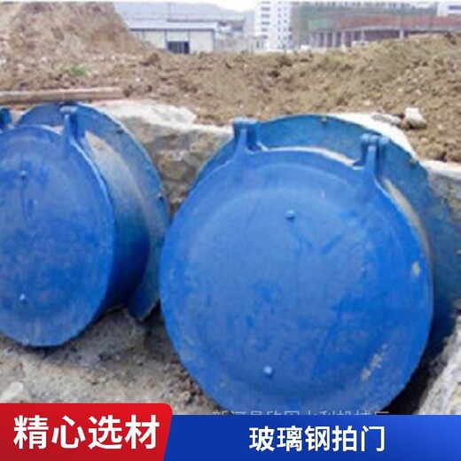 沈陽耐用玻璃鋼拍門,玻璃鋼拍門