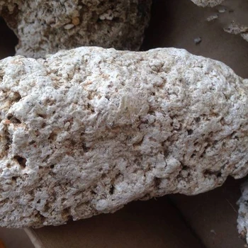 龍涎香上門(mén)回收,靠譜龍涎香上門(mén)收購(gòu)