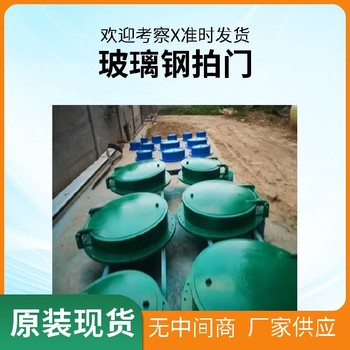 沈陽(yáng)全新玻璃鋼拍門加工,鋼制拍門