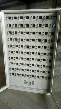 臨滄風景區(qū)手機充電柜