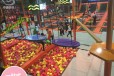 蚌埠蹦床主题公园十大品牌中锦游乐免费设计包运营3-6个月回本