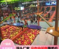 丹东蹦床馆加盟大型网红蹦床乐园年盈利500万厂家生产驻场运营